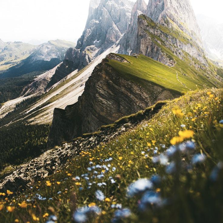 Alpine wilderness landscape